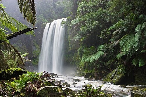 Hình minh họa từ Conservation - Sự bảo tồn