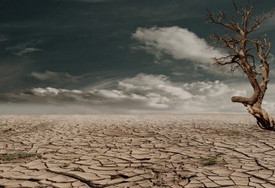Hình minh họa từ Drought - Khô hạn, hạn hán