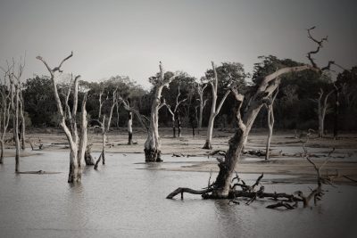 Hình minh họa từ Flood - Lũ lụt