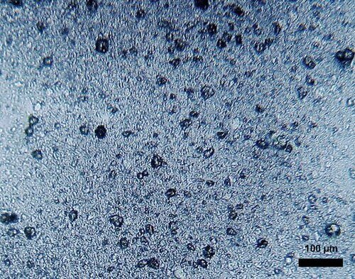 Hình minh họa từ microplastics - hạt vi nhựa gây ô nhiễm