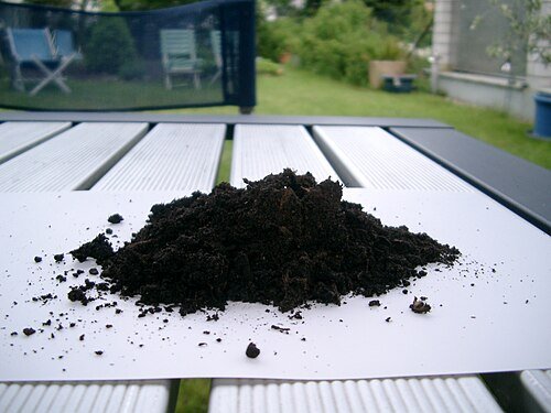 Hình minh họa từ topsoil - lớp đất mặt màu mỡ