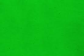 Hình minh họa từ Green - Màu xanh lá