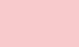 Hình minh họa từ Pink - Màu hồng