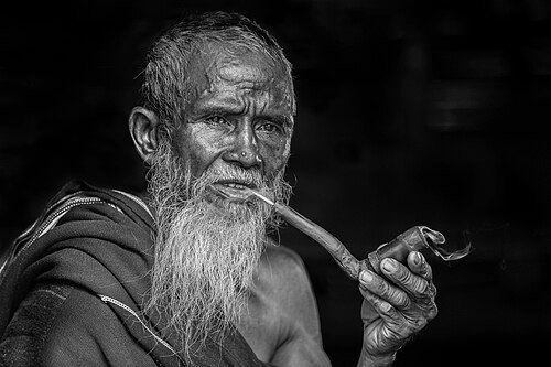 Hình minh họa từ bearded - có bộ râu quai nón rậm rạp