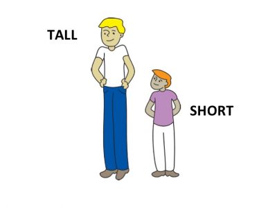 Hình minh họa từ Short - Thấp, ngắn
